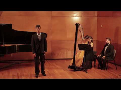 Claraliz Mora und Oliver Pürckhauer/ Gute Nacht from Schuberts Winterreise #winterreise #harfe