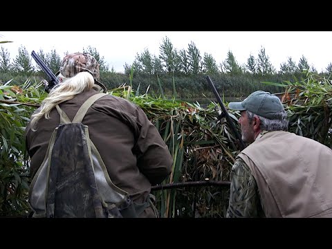 CACCIA ALLE ANATRE 🦆 DA LAGO in 410 con Maria & Giovanni Pierotti _ VERSIONE INTEGRALE