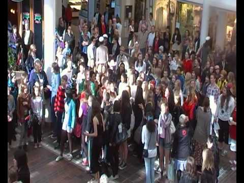 Flashmob i Tyresö Centrum