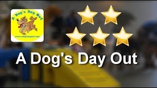 preview picture of video 'A Dog's Day Out Reviews (703) 698-3647 Vienna Great Review From Megan Klose'