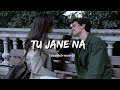 Tu Jane Na (slowed and reverb) Lofi