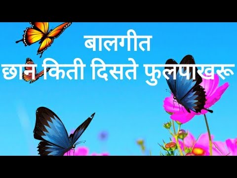 Chan kiti diste Fulpakharuu Marathi song# Butterfly song for kids
