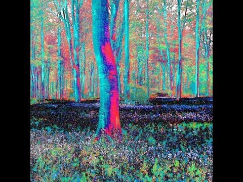 Skreen Beschrave  ★ Drizzle  - Living Acid ★