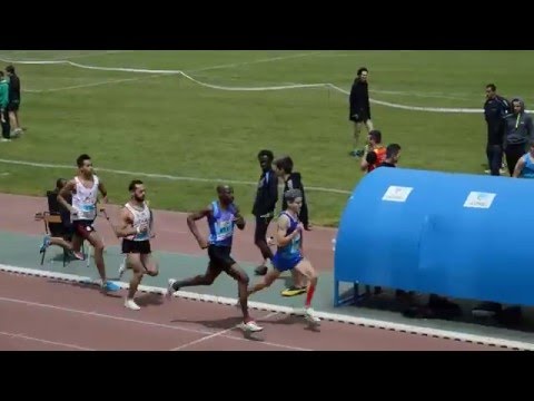 800m SEM (série 1) - Interclubs 2016 (1er tour) à Castres