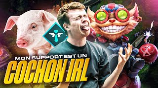 MON SUPPORT EST UN COCHON DANS LA VRAI VIE