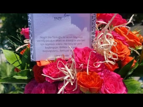 Story sharing of Sıla Türkoğlu!Sıla Türkoğlu'nun Story paylaşımı!