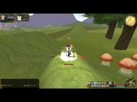 Let´s Play Insanity Flyff - Kleines Update