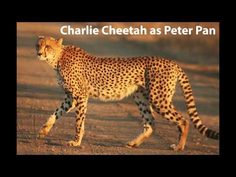 Cheetah Pan Part 1: Opening Credits/"The Second Star to the Right"