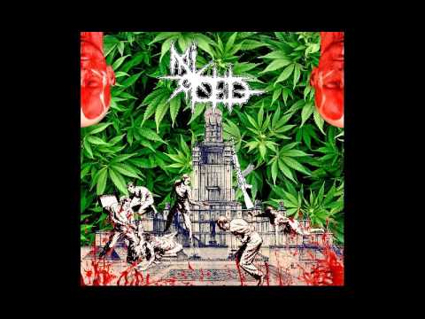 MIROED - GORECH [2016]