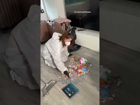 Fly Infested Living Room RESULTS : PART 1