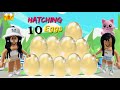 😱 Hatching 10 GOLDEN EGGS IN Adopt Me ! Do I Get My Dream Pet ?