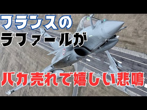 フランス空軍 (レビュー)について詳しく解説