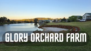 Weekend Retreat Bindoon WA, Glory Orchard Farm #orchard #retreat #rest