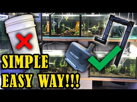 How to do Water Changes In Your Aquarium FAST
