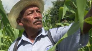 El valor de la tierra (trailer)