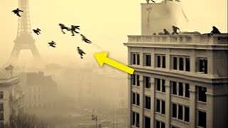 Download lagu 파리 하늘에 떠 있는 사람들?! 뛰어내리는 게 아니라 날고 있다? 소름 돋는 장면 포착 mp3