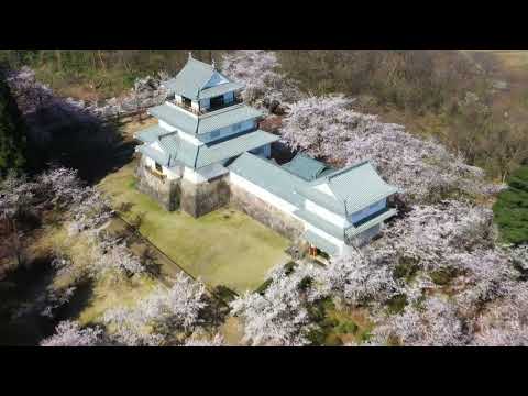 長岡市　悠久山公園　「悠久山桜まつり」