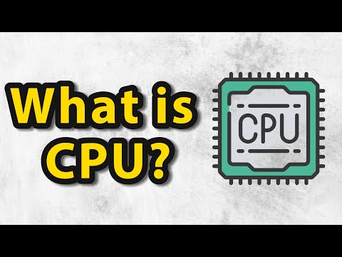 What is Central Processing Unit (CPU)? - Computer Science
