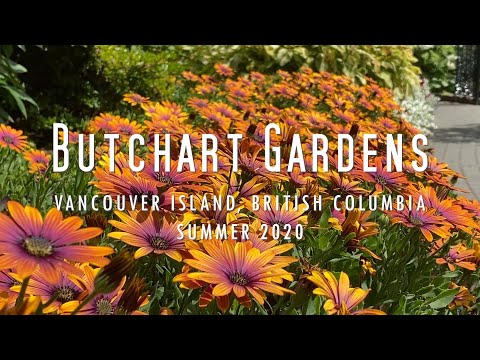 The Butchart Gardens | Walk-Through