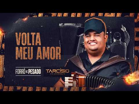 VOLTA MEU AMOR - Tarcísio do Acordeon (CD Forró Pesado)