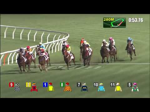 18/5/2022 (676) Charming Steed - B Shinn