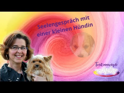 Tierkommunikation – Seelengespräch mit einer verstorbenen Hündin 🌈