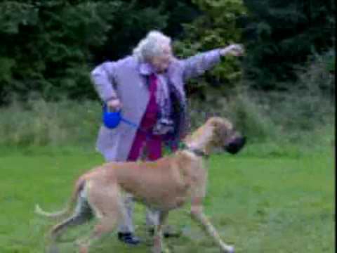 Honda/Comic Relief - Bye Bye Granny (2001, UK)