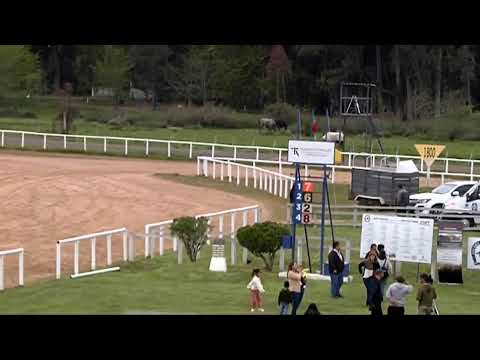 CARRERAS SINT MELO 25 DE SETIEMBRE 2022