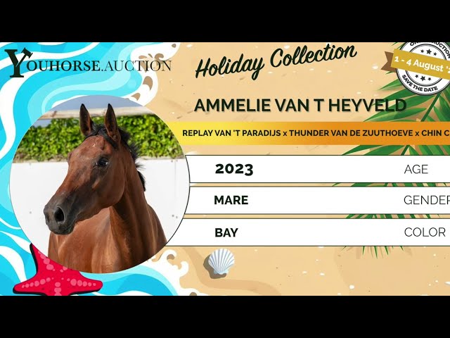 Ammelie van 't Heyveld
