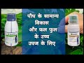 फूल फल और पौधो के बेस्ट ग्रोथ के लिए प्�