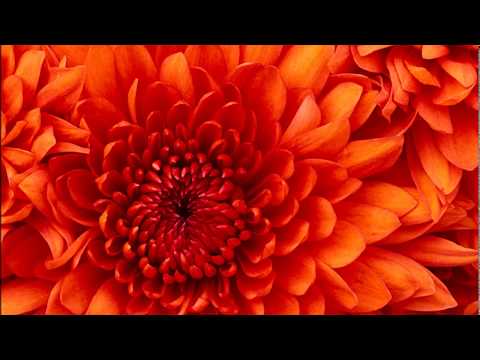 Hino "Profundo É O Saber" N°13 Hinário 4