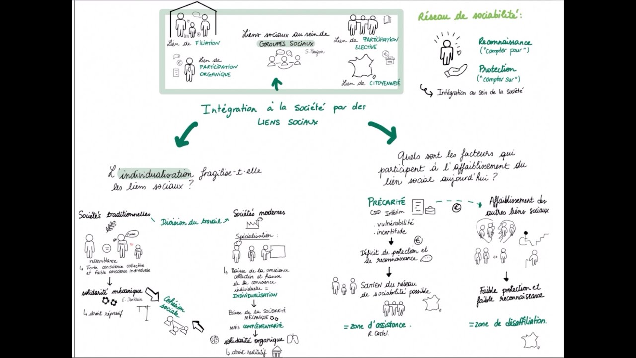 Liens sociaux - Première SES