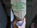 How to keep mice from getting into the attic #diy #homeimprovement #shorts