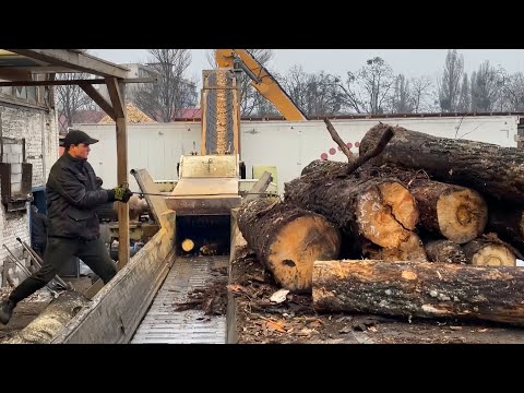 LAST Video of the Year – You MUST See This.