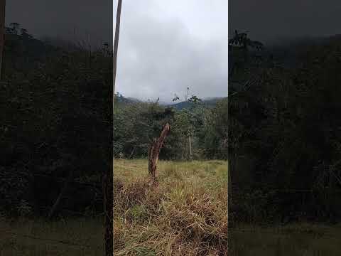 dia 11: Conceição das Pedras x Vargem Alegre