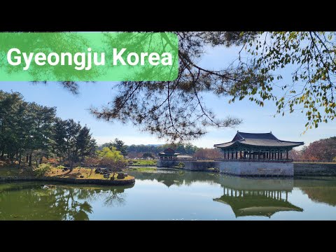 Passeio a pé pela Coreia | Outono no palácio Donggung e lago Wolji | Gyeongju na Coreia