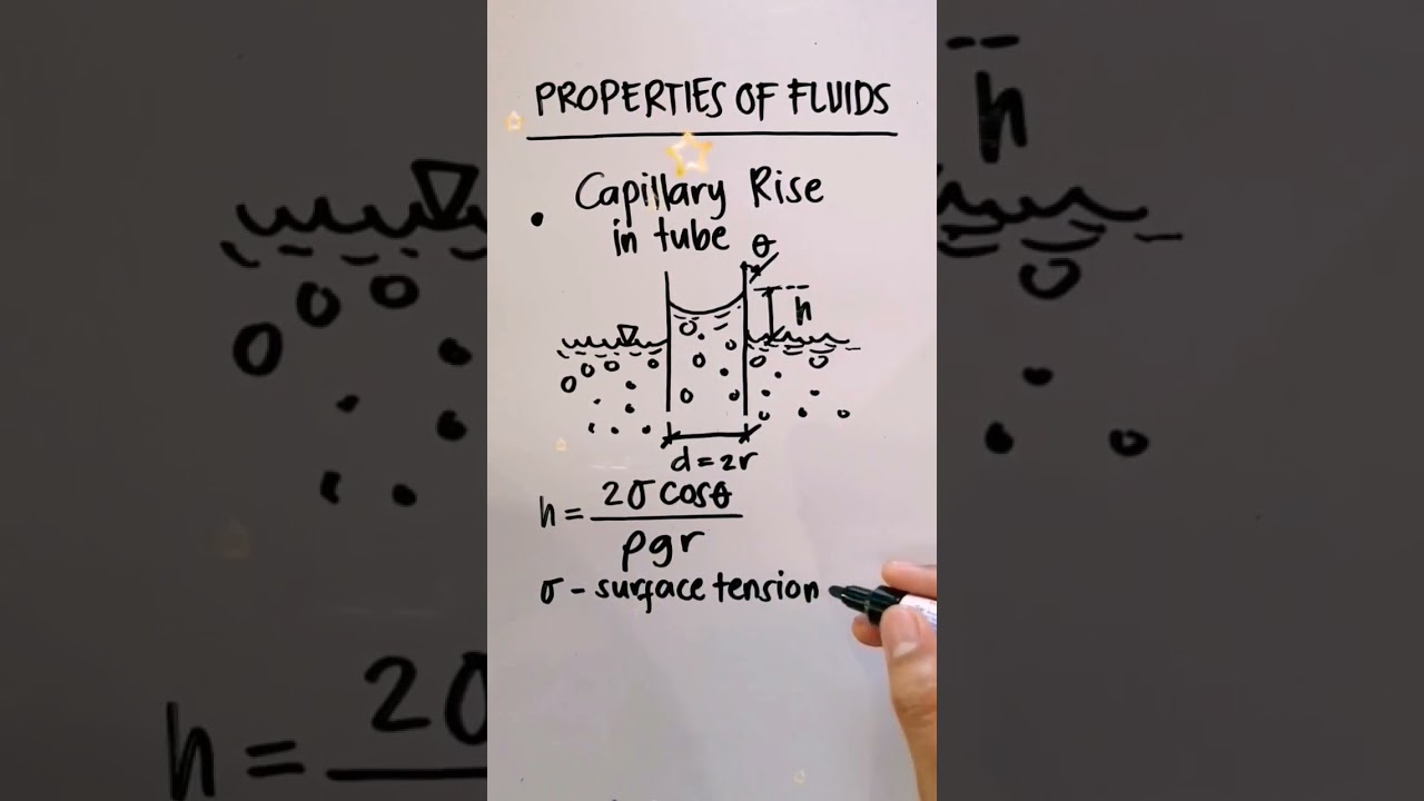 Properties of Fluids 5 #shorts #fluids #capillary #rise #fluidmechanics