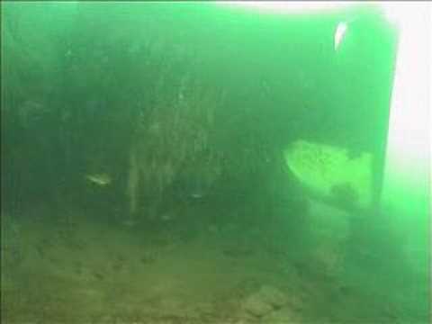 Achensee Hechenberg Wracks Trimix, Achensee,Österreich