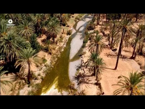 لكل ليل يا دنيا نجوم ⭐️ 💓