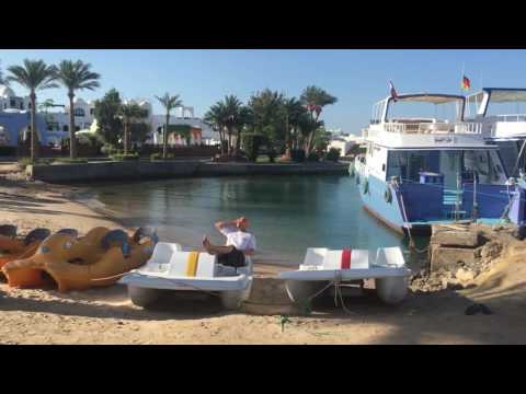 Chef Tauchlehrer EM Tipp Deutschland-Italien 2.7.2016