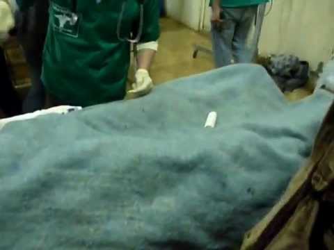 جرحى كتيبة سيف الحق أثناء تصديهم لمحاولة قوات النظام اقتحام البويضة الشرقية في ريف حمص