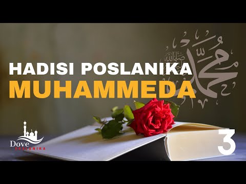 Hadisi Poslanika Muhammeda ﷺ: Treći Dio - Mudre Pouke za Svakodnevni Život