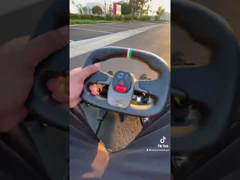 Ninebot go kart pro!