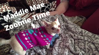 Maddie Mae - Zoomie Time