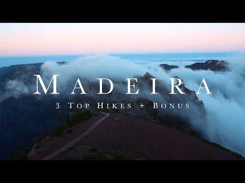 Experience the Magic of Madeira's Hiking Trails | 3 Best Hikes