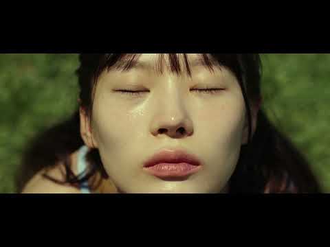 비디오 8