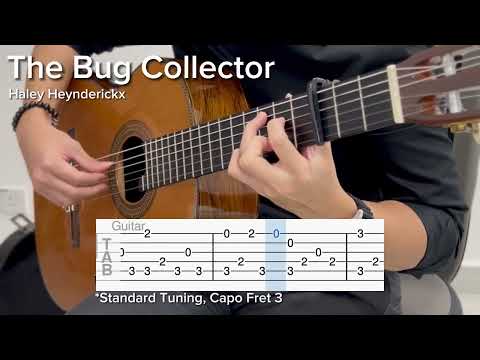 The Bug Collector by Haley Heynderickx (STANDARD TUNING) (EASY Guitar Tab)