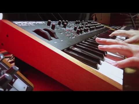 DSI Prophet REV 2 - 12 Custom Patches - GEOSynths.com