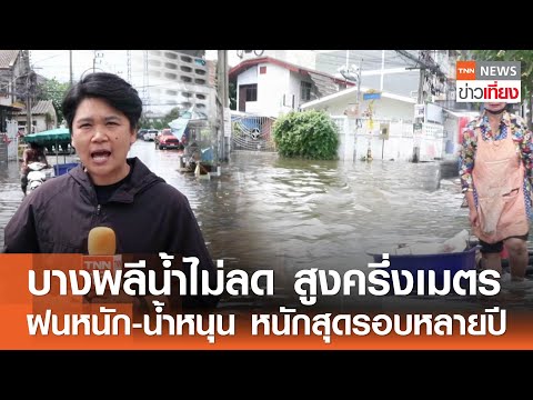 บางพลีน้ำไม่ลด สูงกว่าครึ่งเมตร ฝนหนัก-น้ำหนุน หนักสุดรอบหลายปี | TNN ข่าวเที่ยง | 9-9-68
