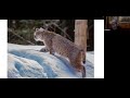 IN THE ADIRONDACK LIBRARY The Nature Of The Place Ed Kanze